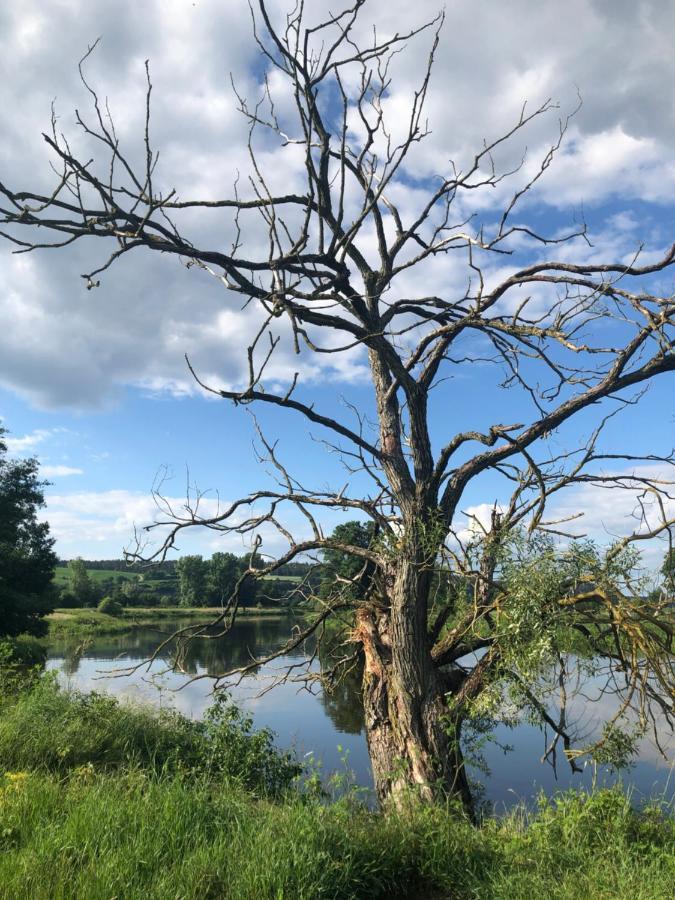 Idyllische Ferienwohnungen In Mossendorf เบอร์เกลนเกนเฟล์ด ภายนอก รูปภาพ
